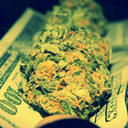 highlife-est07 avatar