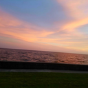 highon-happiness avatar