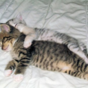 highonmagic-blog avatar