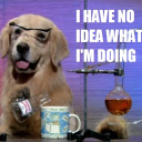 highqueenbitch-blog avatar