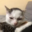 highrollerart avatar