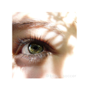 highway-of-bliss avatar