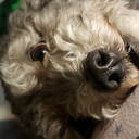 highway-song92 avatar