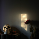 hijadearesylasestrellas avatar