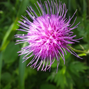 hikariuta-blog avatar