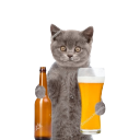 hilarioushitshq avatar