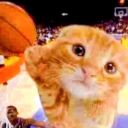 hilchavmprfckr avatar