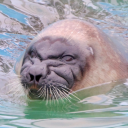 hiltonfuckingsuicide avatar