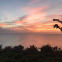 himbo-apologist avatar