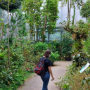 himmelswanderer avatar