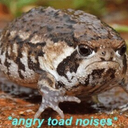 himynameisscreaming avatar