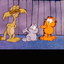 hinamikyoukachan avatar