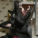 hinarrry-blog avatar