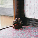 hindalharbi-blog avatar