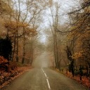 hinkleberryxoxo avatar