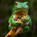 hintofhintoflime avatar