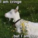 hiperpotato-blog avatar