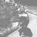 hiphopular-blog avatar