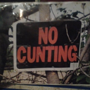 hipnogojikdusus avatar