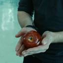 hipothetical-introvert avatar