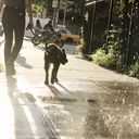 hippiedeathbed-blog avatar