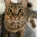 hippieeeevaleeee avatar