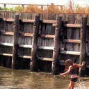 hippieelephants avatar