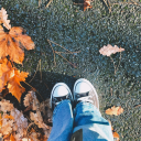 hippiepotaytos avatar