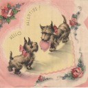 hippieslovers avatar