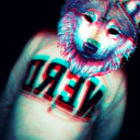 hippiewolf avatar