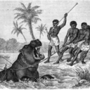 hippo-po-blog avatar