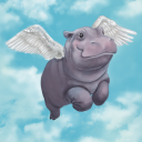 hippo-w-wings0052 avatar