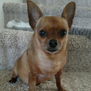 hippychickally avatar