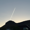 hipsterteacup-42 avatar