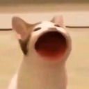 hiraeths-things-blog avatar