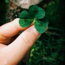 hiranurs-world avatar