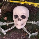 hirokuthegoblin avatar