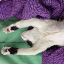 his-mind-is-mine avatar