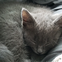 his-mother-is-lightning avatar