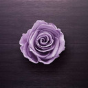 his-purple-rose avatar