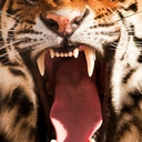 his-queenher-king avatar