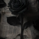 hisaestheticseyes avatar