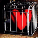 hislionessforever avatar