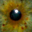 hissunflowereyes avatar