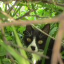 historicaltrek avatar