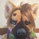 hisui-hyena avatar