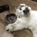 hiswineglass avatar