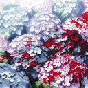 hitandrunduorp avatar