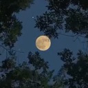 hitbyimagination avatar