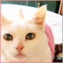 hitbystruckby avatar